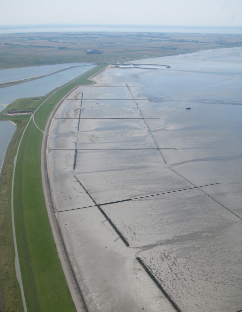 Deich am Beltringharder Koog in Nordfriedland