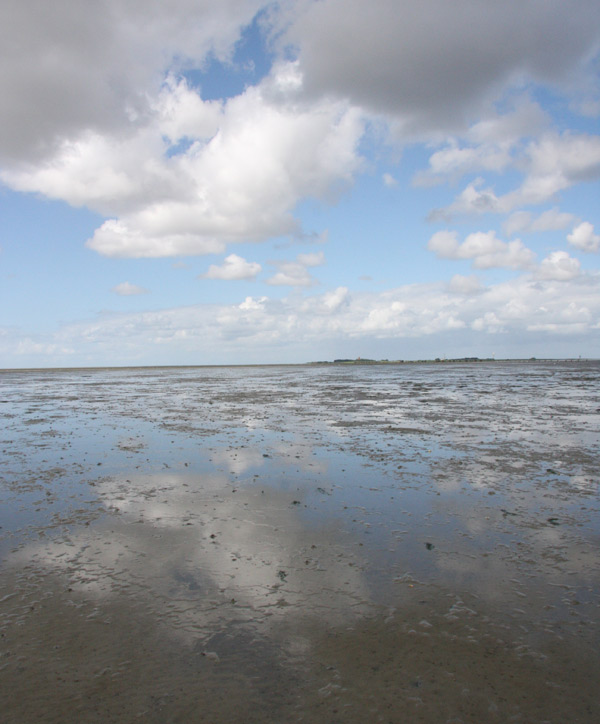 Foto einer Wattlandschaft, die Insel Neuwerk ist im Hintergrund erkennbar, Wolken spiegeln sich im Schlick