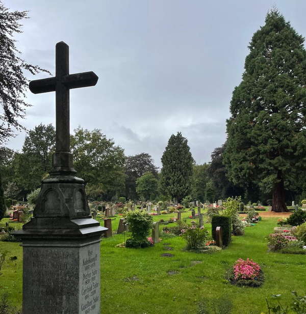 Foto von Gräbern auf dem Friedhof Riensberg in Bremen