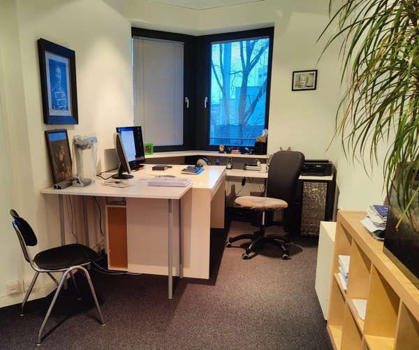 Foto eines Büroraums mit einem Eckfenster, großem Schreibtisch, 2 Stühlen und einem Regal mit Grünpflanzen