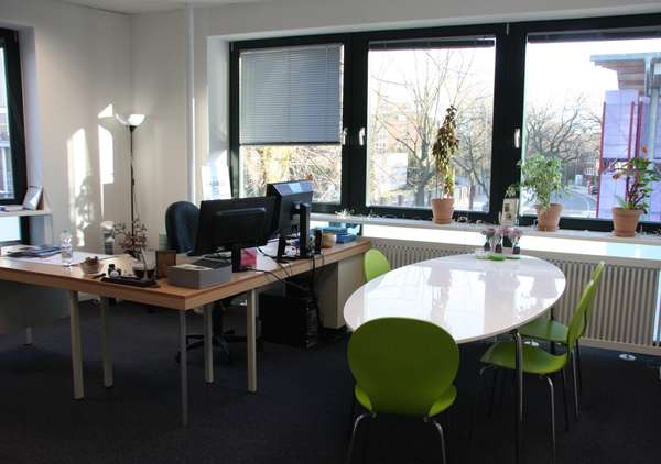 Foto eines hellen Büroraums mit vielen Fenstern, einigen Grünpflanzen und großem ovalem Tisch und grünen Stühlen rechts sowie einem großen Schreibtisch links.